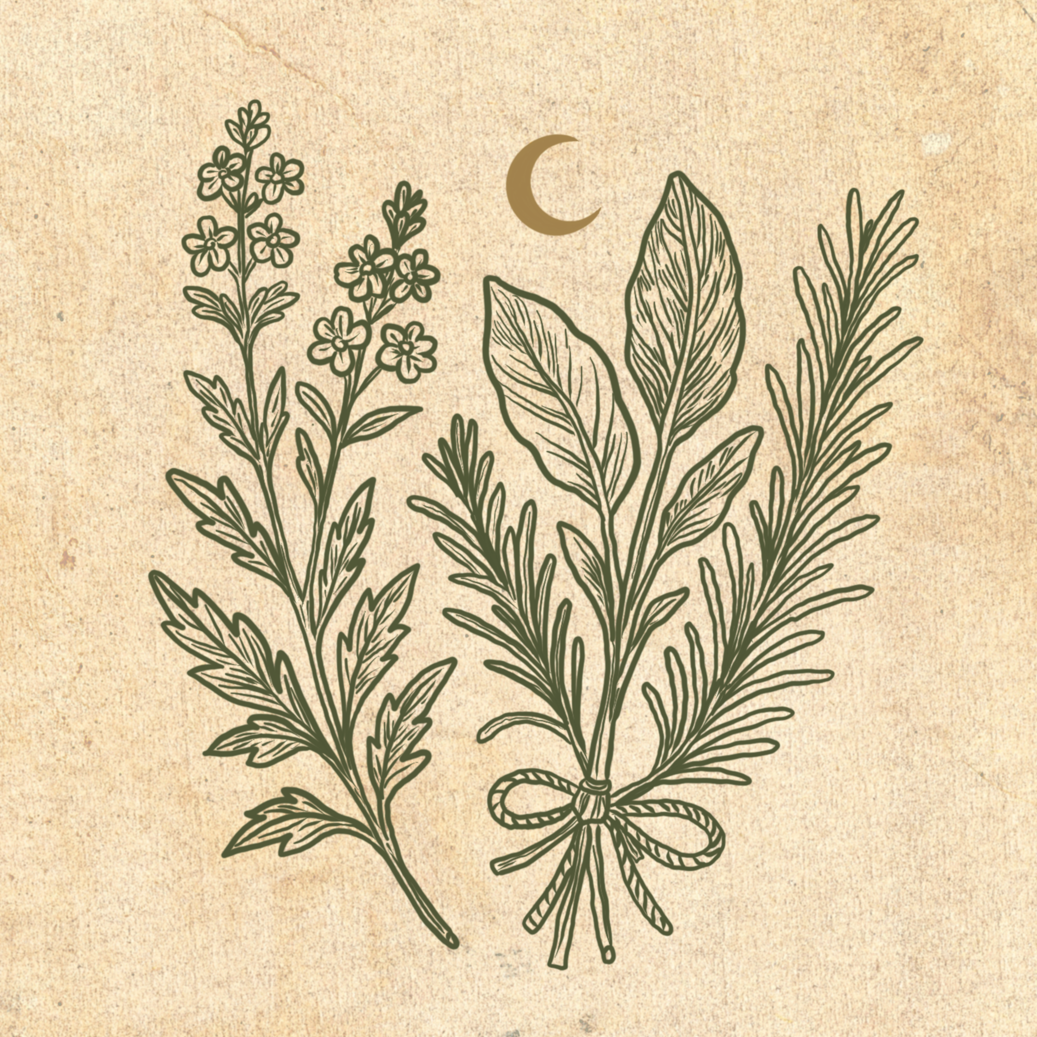 Banishing & Letting Go in Winter – Plant Magic for Clearing, Protection and Removal